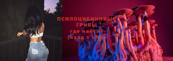шишки Балабаново