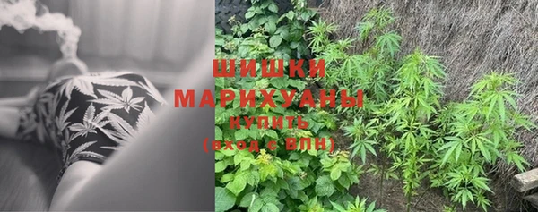 шишки Балабаново