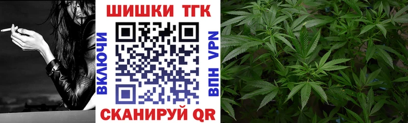 Бошки марихуана план  Вилючинск 